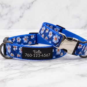 May include: Two blue dog collars with a white floral pattern. One collar is buckled. Each collar has a black tag with the name "Bella" and a phone number. The collars have silver metal hardware.