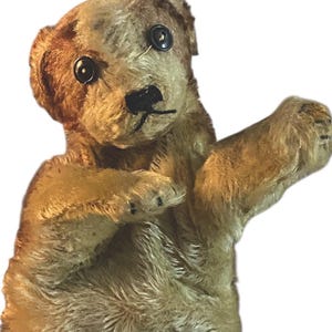 くりくり瞳の仔犬さん MOLLY シュタイフドッグ 15cm ヴィンテージ