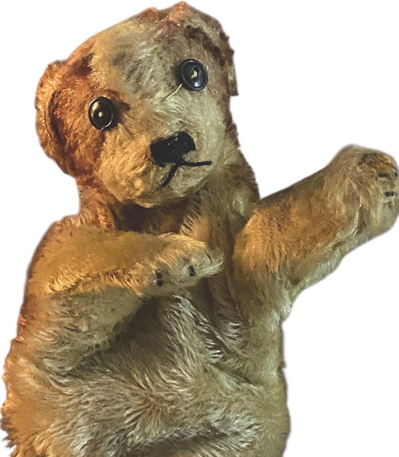 ヴィンテージ シュタイフ モリードッグ モヘア ぬいぐるみ ハンド