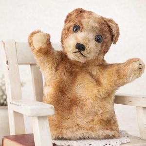 Vintage Steiff Molly Hund Mohair Plüschtier Handpuppe Deutschland Glasaugen