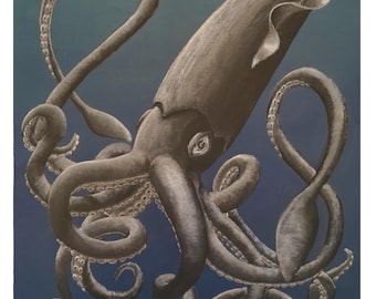 May include: A painting of a giant squid with tentacles, rendered in shades of gray against a dark blue background.