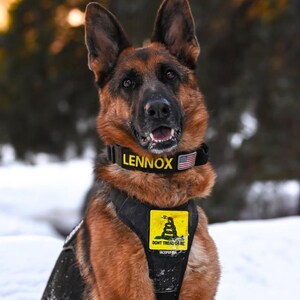 May include: A German Shepherd dog with brown and black fur, wearing a black harness with a yellow "Don't Tread on Me" patch and a collar that says "LENNOX". The dog is outdoors in a snowy environment.
