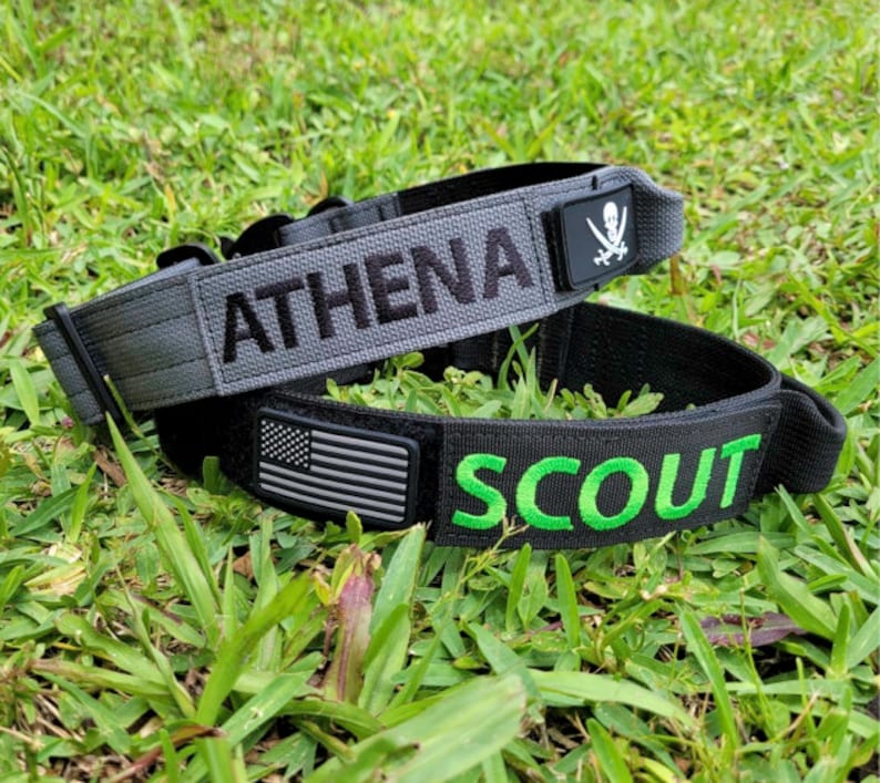 May include: Two dog collars on green grass. The top one is grey with "ATHENA" embroidered in black and a skull and crossbones patch. The bottom collar is black with "SCOUT" in green and an American flag patch.