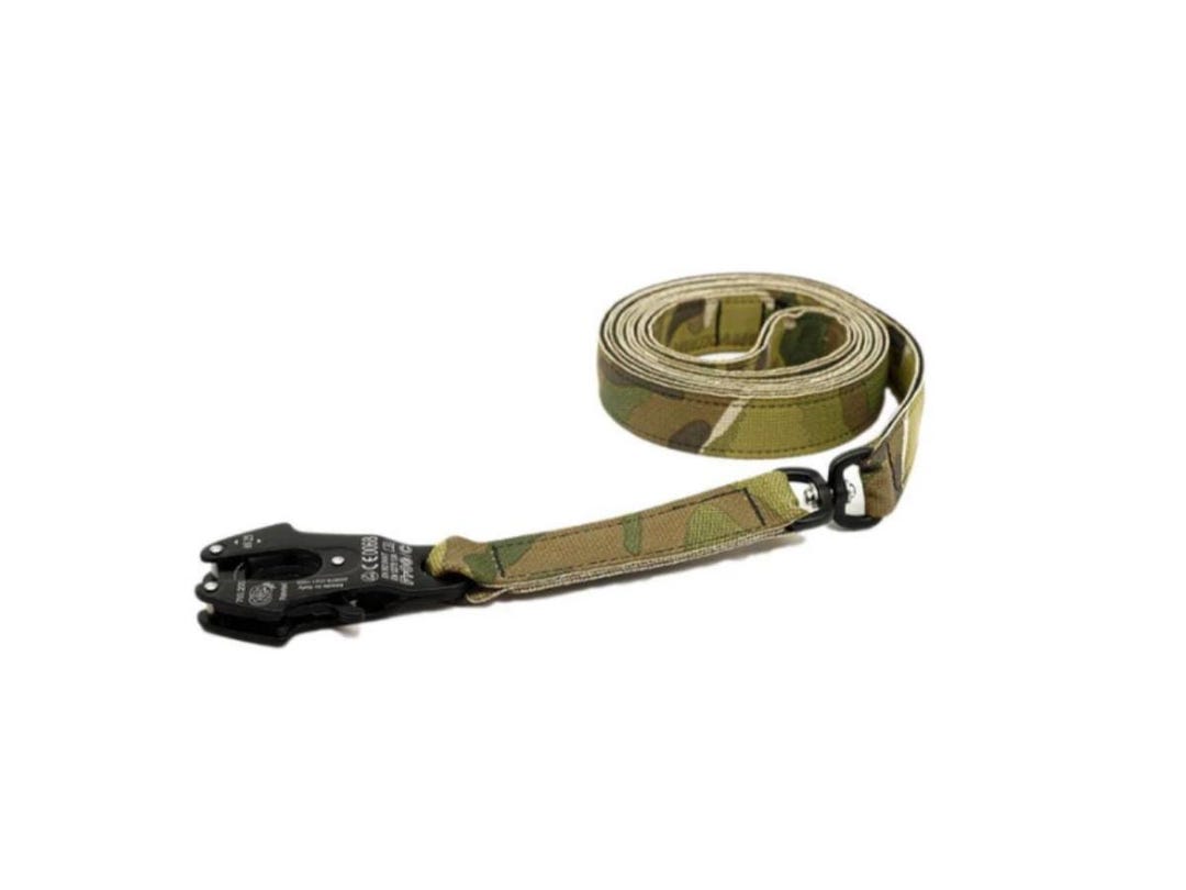Buckle Down Hundeleine, Lila/blau, 1,8 M X 2,5 Cm - Stylisch & Strapazierfähig