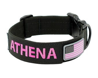 1.5 ""personalisiertes taktisches Hundehalsband mit Plastikschnalle