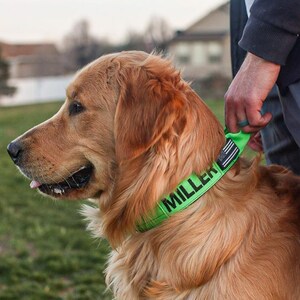 May include: A golden retriever with a bright green collar displaying the name "MILLER" in black text. The collar also has a small American flag design. The dog is outside, with a person holding the leash.
