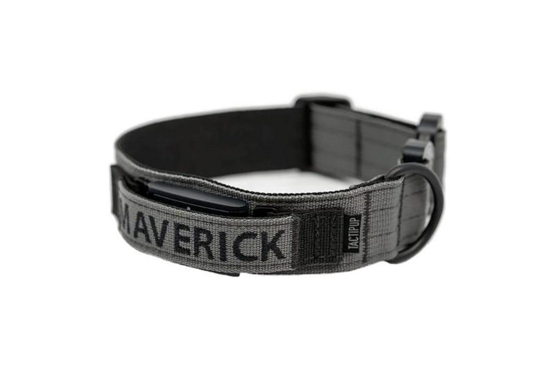 Personalized Metal Buckle Dog Collar Compatible With Fi