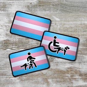 Trans Aufnäher | Intersektionalität mit Behinderung | Haken Aufnäher | LGBT Pride Flagge | 6x10cm