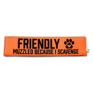 Può includere: Una fascia rettangolare arancione brillante per museruola con il testo nero FRIENDLY MUZZLED BECAUSE I SCAVENGE e un'icona a forma di zampa nera con un cuore al centro. La fascia presenta una piccola etichetta in tessuto bianco sul lato destro.