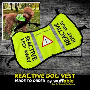 Reactive Dog Vest: High-Vis, Custom Fit, &quot;Learning to be Calm&quot;