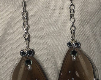 Butterfly Wing Earrings