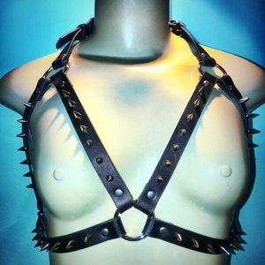 Xena Harness
