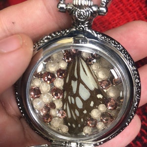White Monarch Butterfly Wing Pocket Locket
