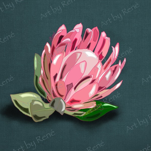Protea | home decor | wall hanging | flower illustration | flower art |wall art | digital illustration | digital downloadable
