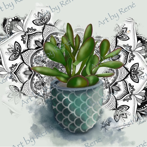 Jade Plant | Cactus style | home decor | wall art | wall decor | digital illustration | artwork | plant art | mandala | patterns