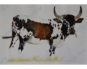 Nguni Cow | Wall Hanging | Home Decor | Watercolour Illustration | Watercolor Art