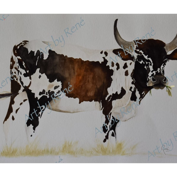 Nguni Cow | Wall Hanging | Home Decor | Watercolour Illustration | Watercolor Art