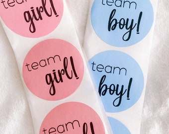 Gender Reveal Party Stickers | Boy Girl Blue Pink | Baby Shower Sticker