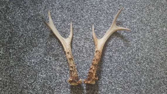 wire antler headband