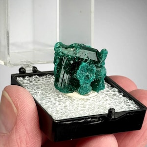 May include: A vibrant green dioptase mineral specimen featuring crystalline structures with a deep emerald hue. The cluster is displayed inside a small black plastic box with a clear hinged lid, resting on a white textured foam insert base.