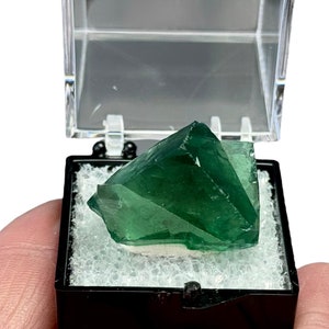 UK Fluorite Large Twin Crystal Diana Maria Mine, England Daylight Fluorescent in Display Box