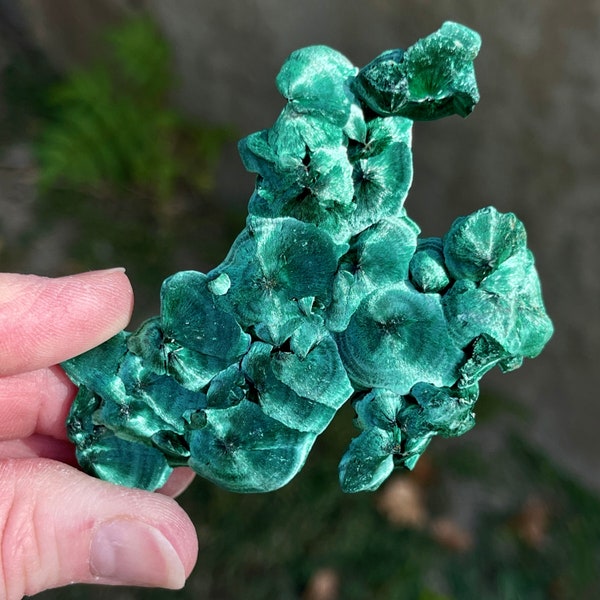 Chatoyant Fibrous Malachite // Fine, Rocks, Minerals and Crystals