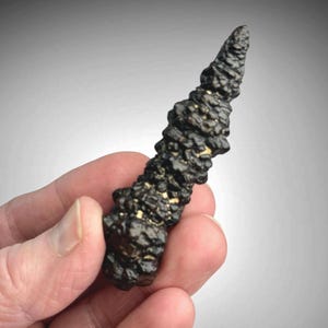 Goethite Prophecy Stone, 2.7&quot; Collector Specimen, Pseudomorph after Marcasite, Egypt