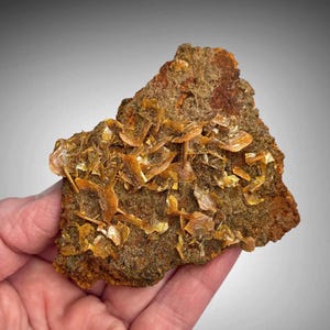 Wulfenite Chihuahua, Mexico, Rocks, Mineral Specimen
