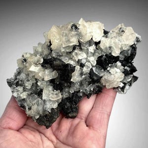 Goethite Pseudomorph Epimorph Cast after Selenite with Calcite Coating from Chihuahua, Mexico Fine Rocks Minerals Crystals