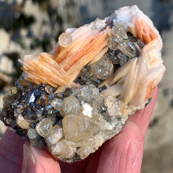 Barite with Cerussite Crystals on Galena // Rocks and Minerals // Collector Quality