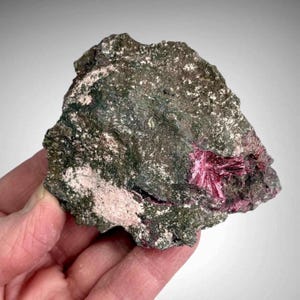 May include: A rough, irregularly shaped rock with a dark green and gray surface. A cluster of vibrant, deep pink, needle-like crystals is embedded within the rock. The rock has patches of light pink and white coloration.