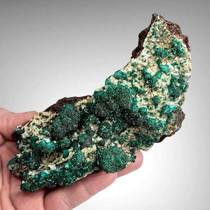Dioptase with Wulfenite Mineral Specimen, Congo Rocks Minerals Crystals