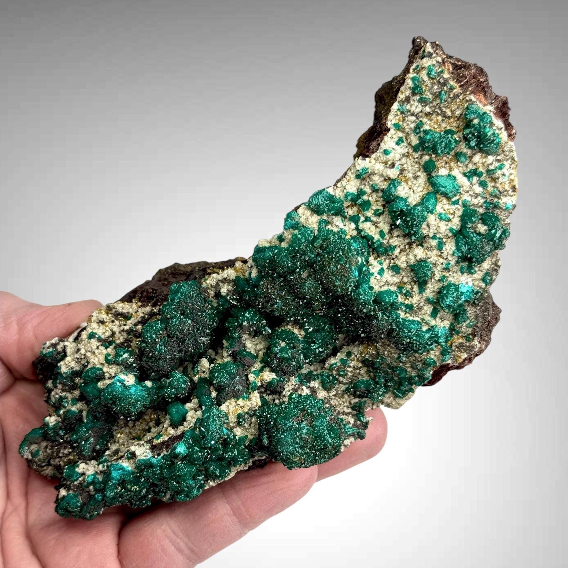 Dioptase with Wulfenite Mineral Specimen, Congo Rocks Minerals Crystals