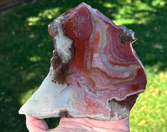 Colorful Crazy Lace Agate Slice and Acrylic Coated Slab Mexico Acrylic Display Stand Included
