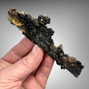 Hollow Goethite Pseudomorph Epimorph Cast after Selenite Chihuahua, Mexico