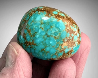 Turquoise Tumbled Nodule 32g, Number 8 Mine Turquoise Nugget, Eureka Co., Carlin, Nevada
