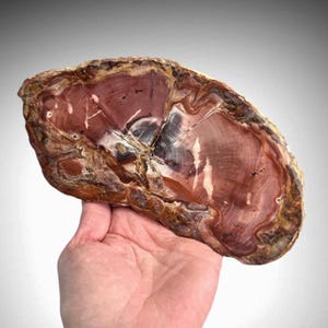 Polished Petrified Wood Slab: Mauve Agatized Slice, Madagascar (Display Stand Included)