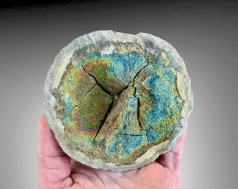 Rainbow Pyrite Septarian Nodule Concretion from Russia