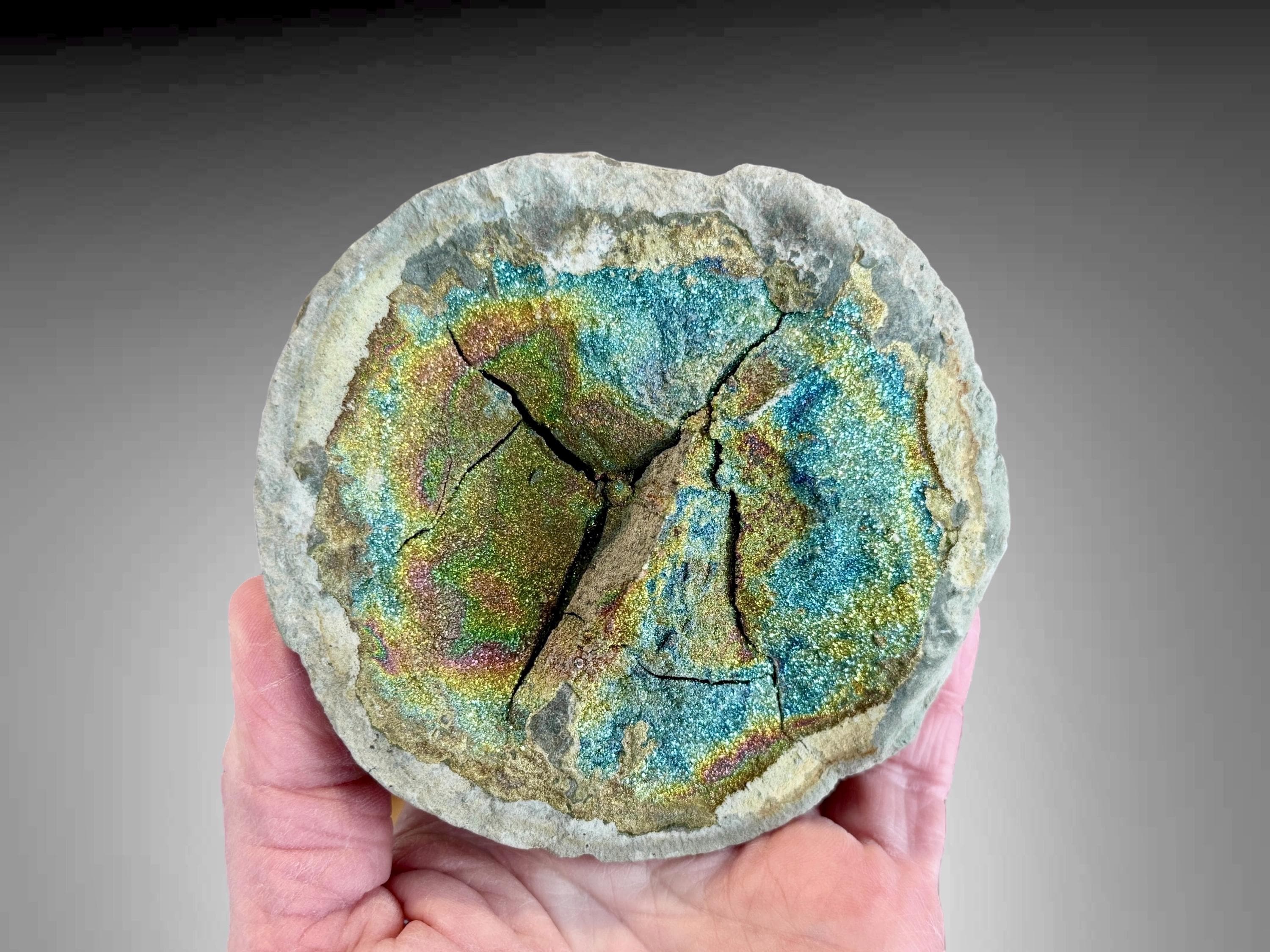 Rainbow Pyrite Septarian Nodule Concretion from Russia