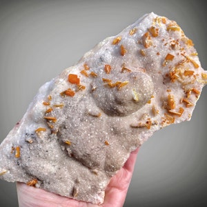 Collector Wulfenite Cluster Los Lamentos Chihuahua Mexican Rocks Minerals Crystals Fine Minerals