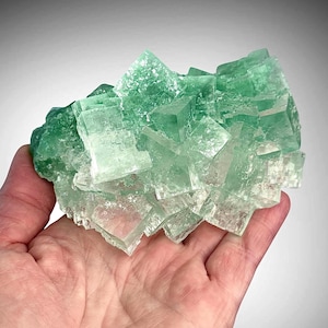 May include: A cluster of translucent, light green fluorite crystals featuring sharp, cubic geometric shapes. The mineral specimen displays varying shades of mint and emerald green with clear, glass-like edges and a naturally jagged, crystalline texture.