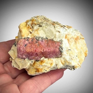 May include: A raw mineral specimen featuring a prominent, rectangular, deep pink crystal embedded within a matrix of off-white and pale yellow crystalline rock. The surface of the pink crystal has a textured, slightly granular appearance.