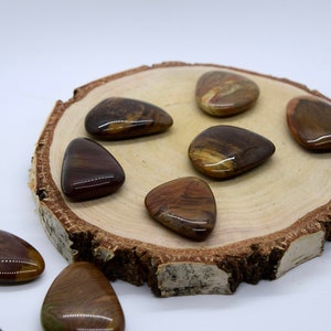 May include: A collection of eight brown and gold fossilized wood guitar picks on a wooden base.