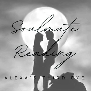 Soulmate Lezen