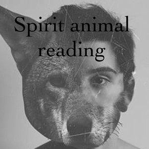 Spirit Animal Reading, what is your totem animal?