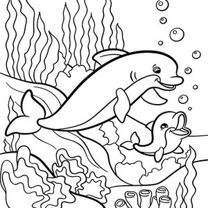10 Dolphin-themed coloring pages.