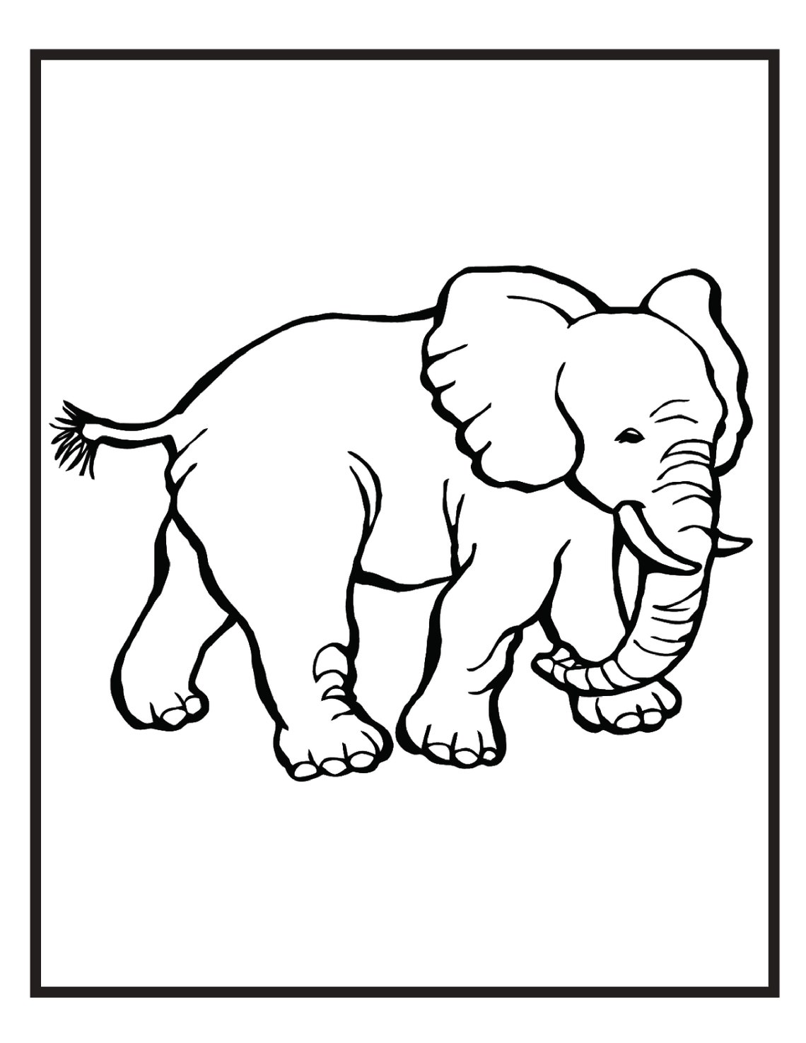 20 Zoo Animal Themed Coloring Pages Digital Download Etsy Canada