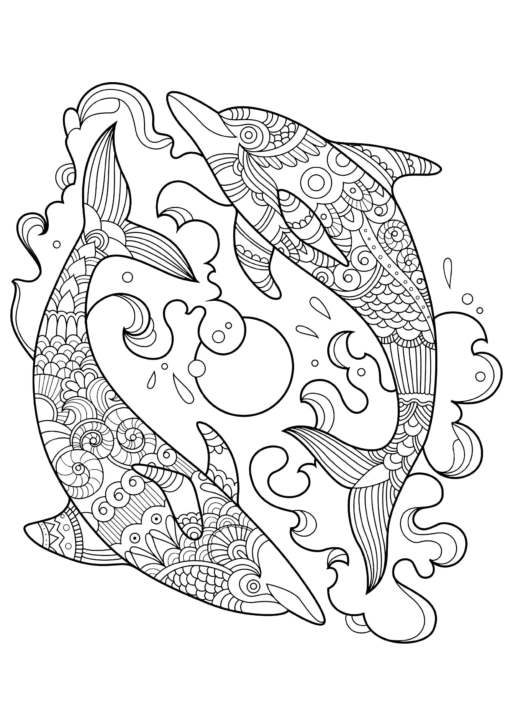 Malseiten zum Ausmalen von Delfinen. - Etsy.de