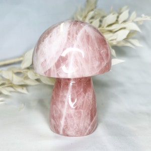 Rosenquarz Pilz | Kristall Schnitzerei, Kristallsammlung, Kristall Mystery Box, Heilkristall