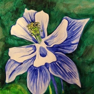 Blue Columbine - Watercolor Painting - Floral - Flower - Colorado - Poster Print